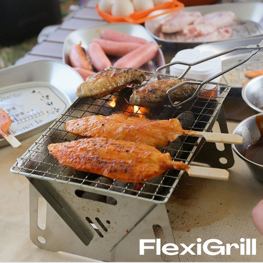 FlexiGrill - Mini Grill to Go