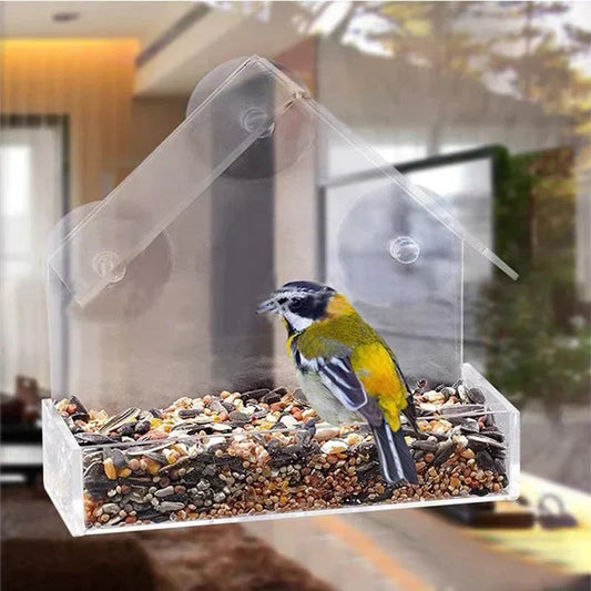 FensterVogelzauber – Das Klare Vogelhäuschen für Zuhause